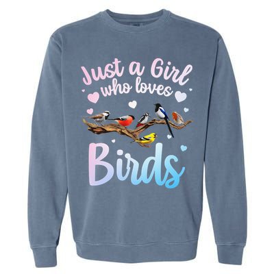 Cool Bird Watcher Art For Women Birding Nerd Birder Garment-Dyed Sweatshirt