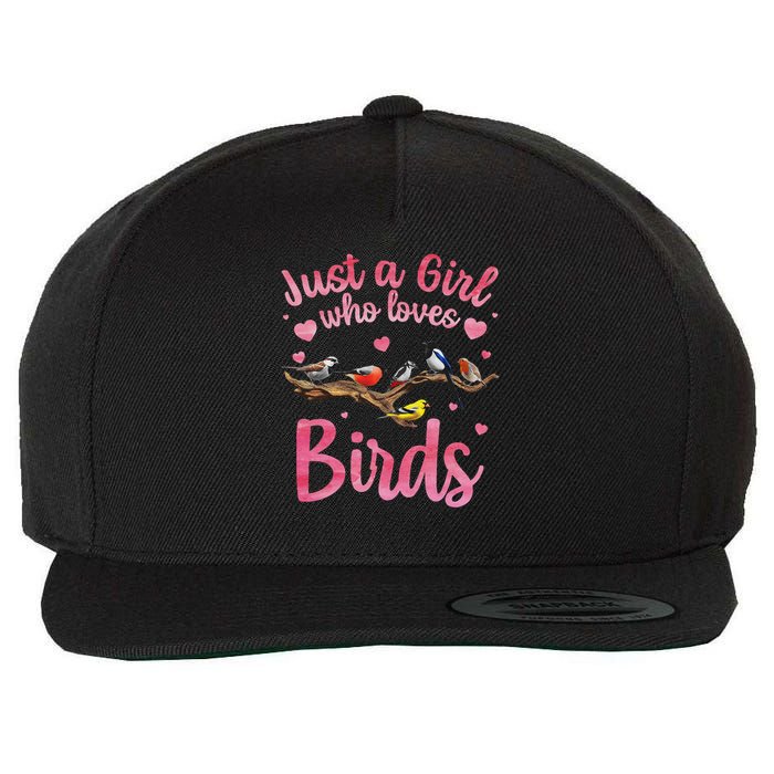 Cool Bird Watcher Art For Women Birding Nerd Birder Wool Snapback Cap