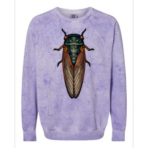 Cicada Brood X Magicicada Septendecim Red Eyed Cicadas Colorblast Crewneck Sweatshirt