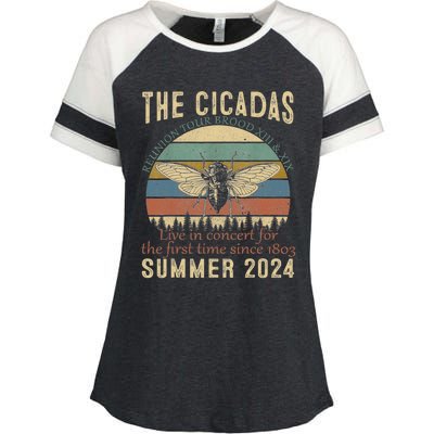 Cicada Brood Xiii Xix Summer 2024 Reunion Swarm Cicadas Enza Ladies Jersey Colorblock Tee