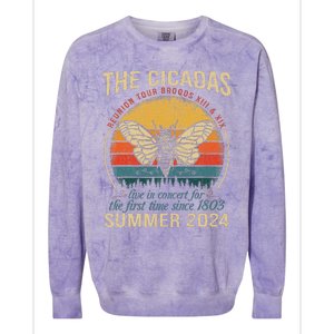 Cicada Brood Xiii Xix Summer 2024 Reunion Swarm Cicadas Colorblast Crewneck Sweatshirt