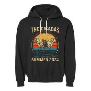 Cicada Brood Xiii Xix Summer 2024 Reunion Swarm Cicadas Garment-Dyed Fleece Hoodie