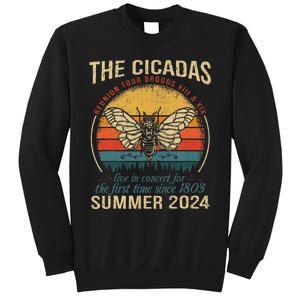 Cicada Brood Xiii Xix Summer 2024 Reunion Swarm Cicadas Sweatshirt