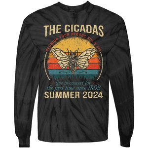 Cicada Brood Xiii Xix Summer 2024 Reunion Swarm Cicadas Tie-Dye Long Sleeve Shirt