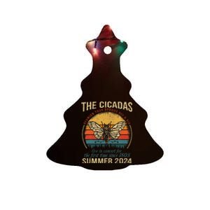 Cicada Brood Xiii Xix Summer 2024 Reunion Swarm Cicadas Ceramic Tree Ornament