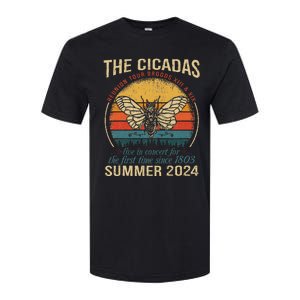 Cicada Brood Xiii Xix Summer 2024 Reunion Swarm Cicadas Softstyle CVC T-Shirt