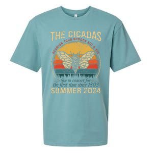 Cicada Brood Xiii Xix Summer 2024 Reunion Swarm Cicadas Sueded Cloud Jersey T-Shirt