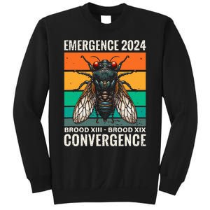 Cicada Brood Xiii Brood Xix 2024 Emergence Convergence Sweatshirt