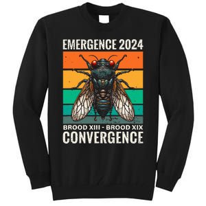 Cicada Brood Xiii Brood Xix 2024 Emergence Convergence Tall Sweatshirt