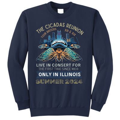 Cicada Concert 2024 Illinois Cicada Broods Sweatshirt