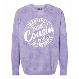 Cousin Crew 2024 Family Reunion Trip Weekend Vacation Colorblast Crewneck Sweatshirt