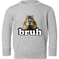 Capybara Toddler Sweatshirt