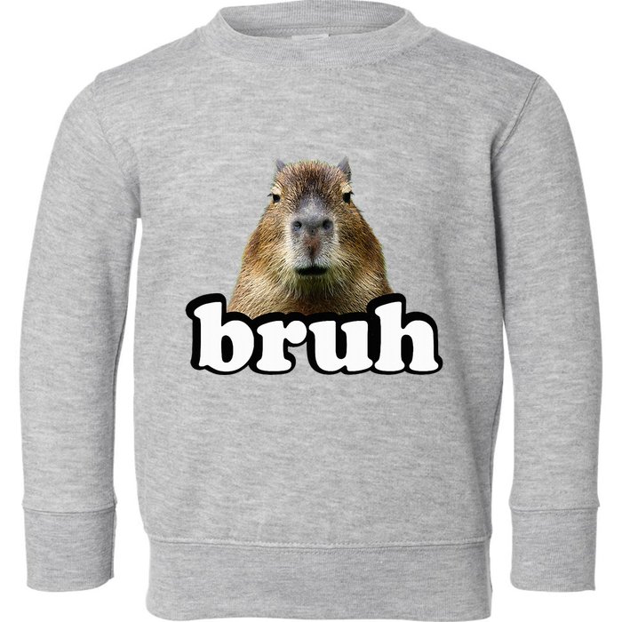 Capybara Toddler Sweatshirt
