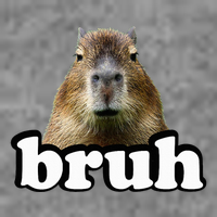 Capybara Toddler Sweatshirt