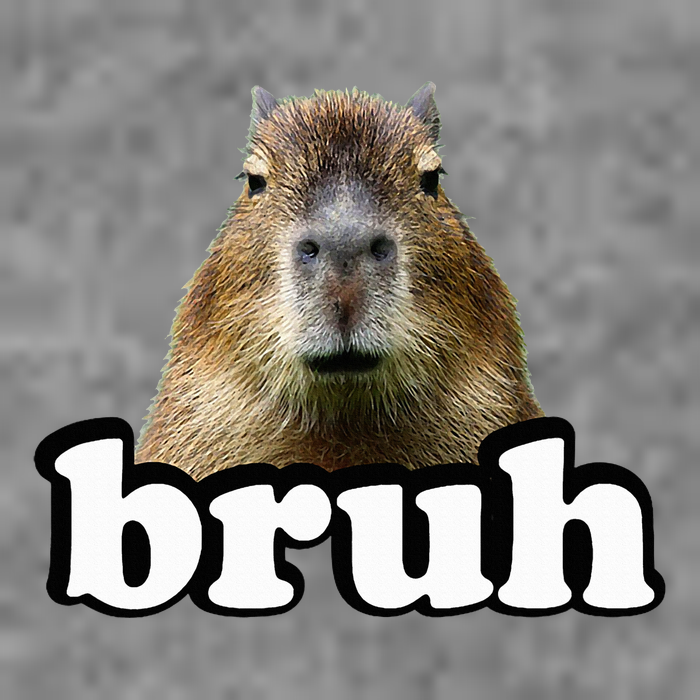Capybara Toddler Sweatshirt