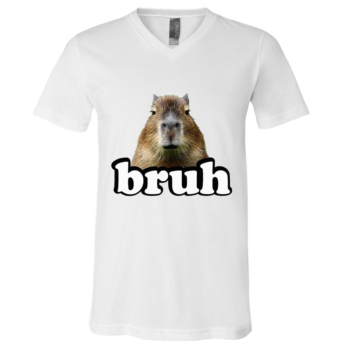 Capybara V-Neck T-Shirt
