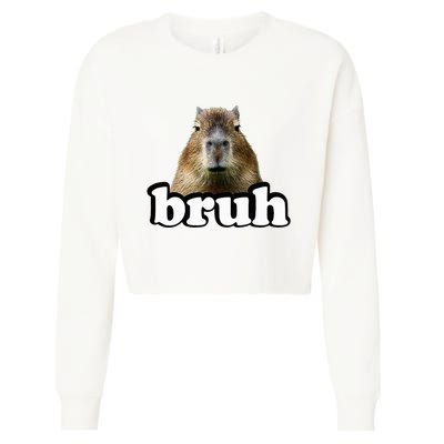 Capybara Cropped Pullover Crew