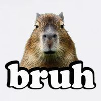 Capybara Wool Snapback Cap