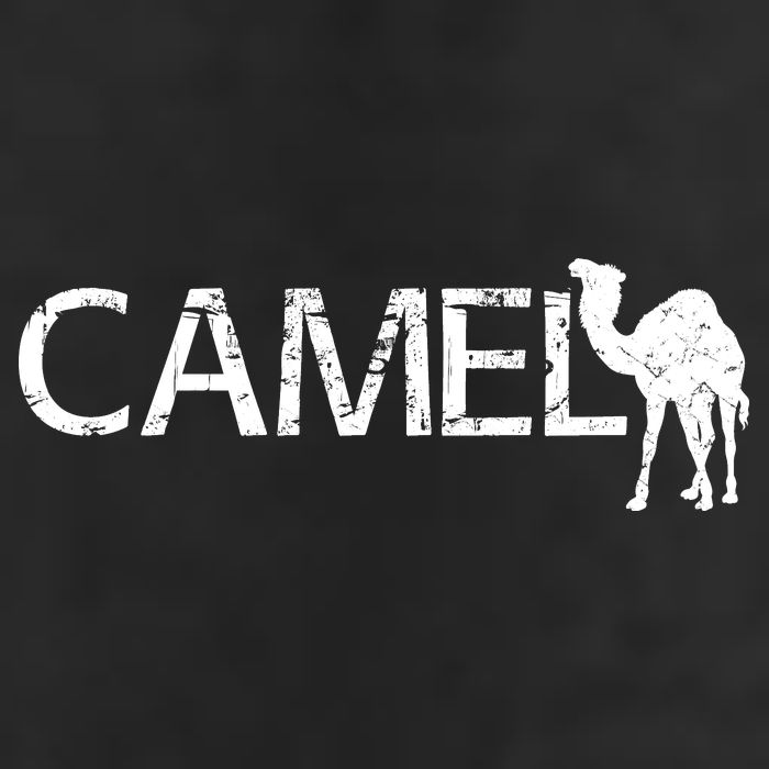 Camel Cool Comfort Performance Bucket Hat