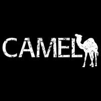 Camel Bucket Hat