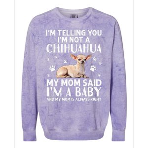 Cute Chihuahua Art For Women Mom Dog Breed Chihuahua Lovers Colorblast Crewneck Sweatshirt