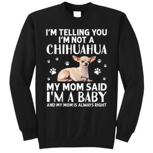 Cute Chihuahua Art For Women Mom Dog Breed Chihuahua Lovers Sweatshirt