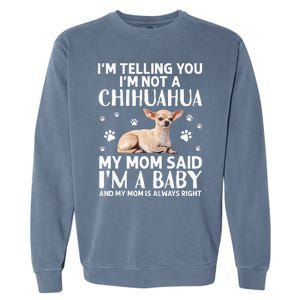 Cute Chihuahua Art For Women Mom Dog Breed Chihuahua Lovers Garment-Dyed Sweatshirt