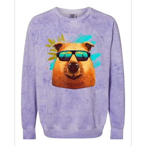 Capybara Cute And Funny Capybara Cool Sunglasses Colorblast Crewneck Sweatshirt