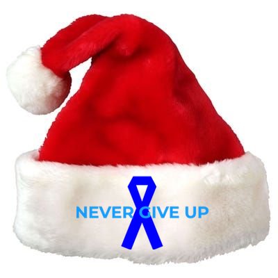 Colon Cancer Awareness Ribbons Premium Christmas Santa Hat