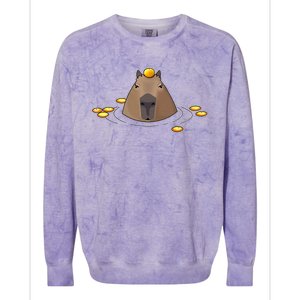 Capybara Colorblast Crewneck Sweatshirt