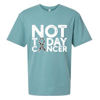 Carcinoid Cancer Awareness Not Today Cancer Zebra Ribbon Sueded Cloud Jersey T-Shirt