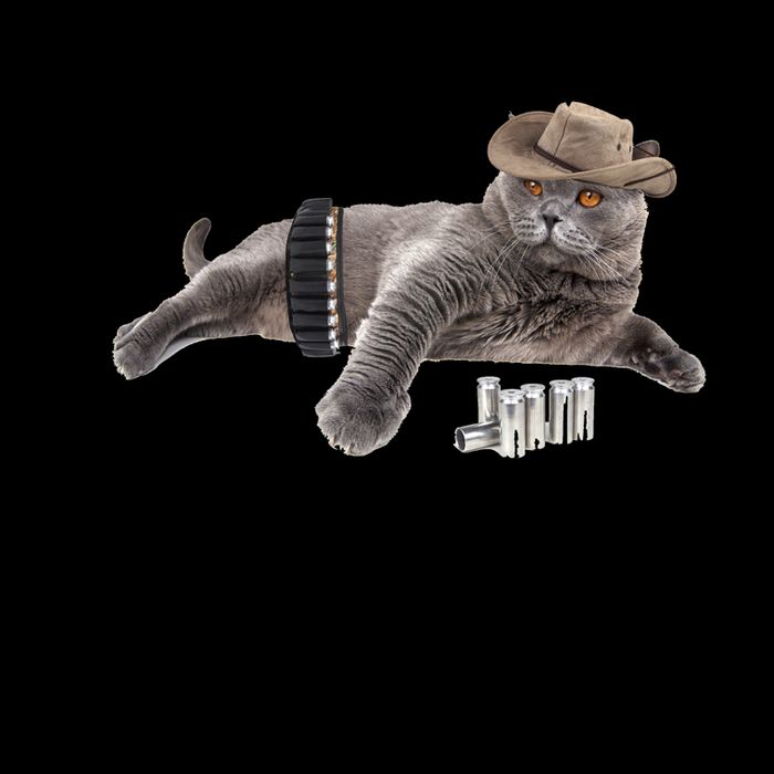 Cowboy Cat Adivse Be Rootin' Be Tootin' Be Shootin Be Kind Meme 16oz Travel Tumbler