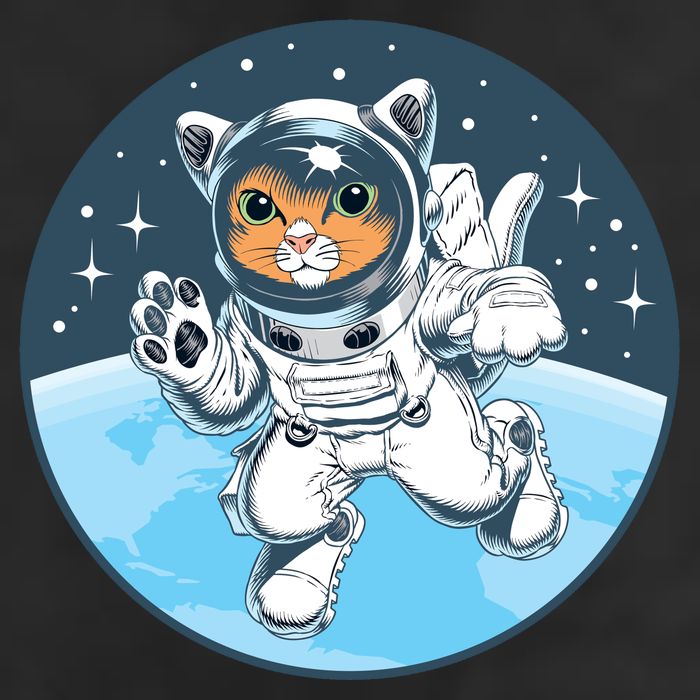 Cute Cat Astronaut 7 Panel Mesh Trucker Snapback Hat