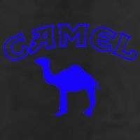 CAMEL Adult Drive Performance Visor