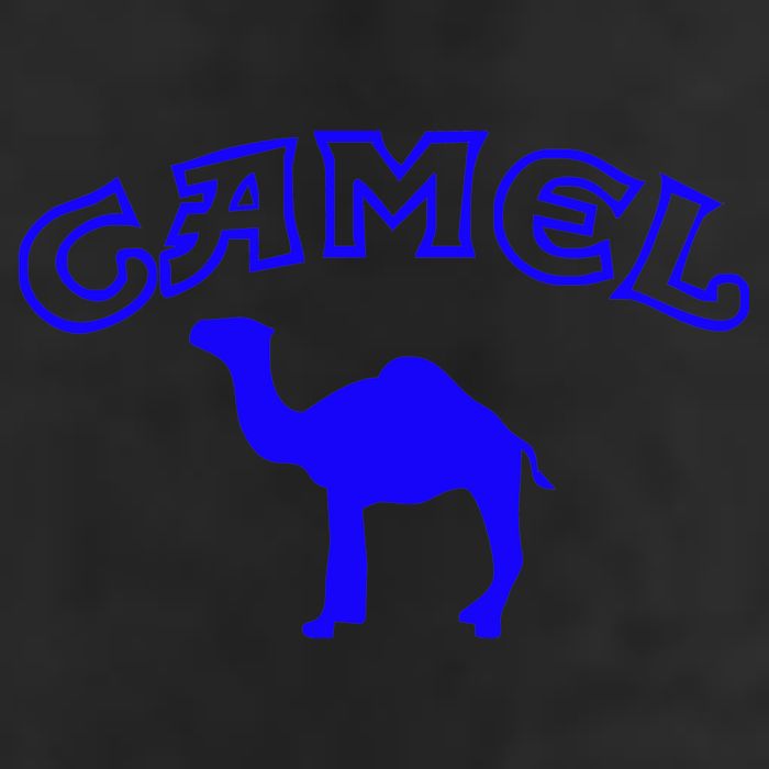 CAMEL Adult Drive Performance Visor