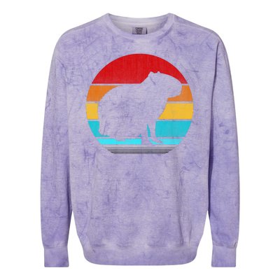 Capybara Colorblast Crewneck Sweatshirt