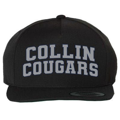 Collin College Arch02 Wool Snapback Cap