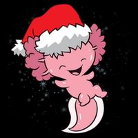 Cute Christmas Axolotl Santa Kids Sweatshirt