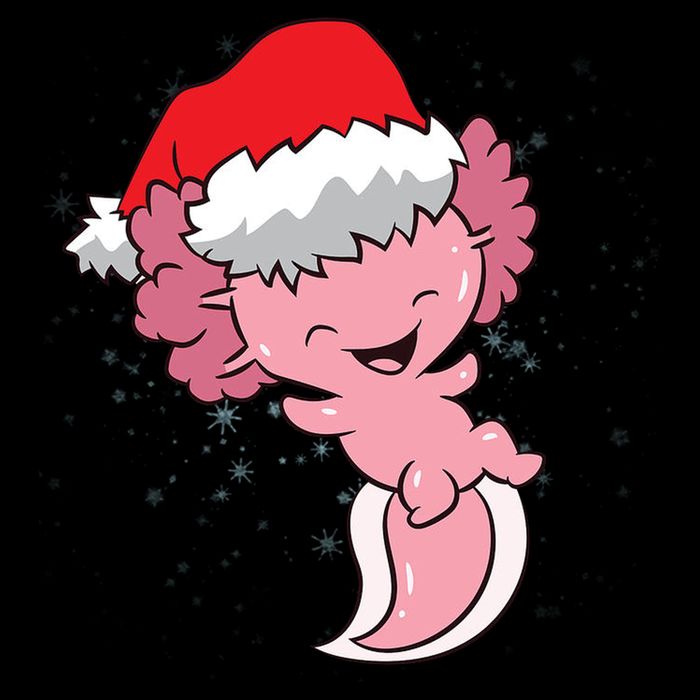 Cute Christmas Axolotl Santa Kids Sweatshirt
