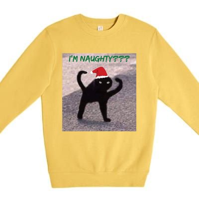 Cursed Cat Angry Meme Im Naughty? Christmas Gift Premium Crewneck Sweatshirt