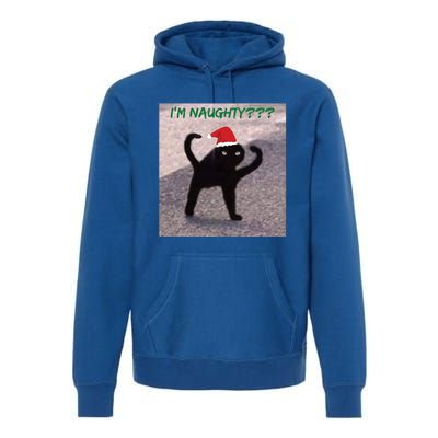 Cursed Cat Angry Meme Im Naughty? Christmas Gift Premium Hoodie