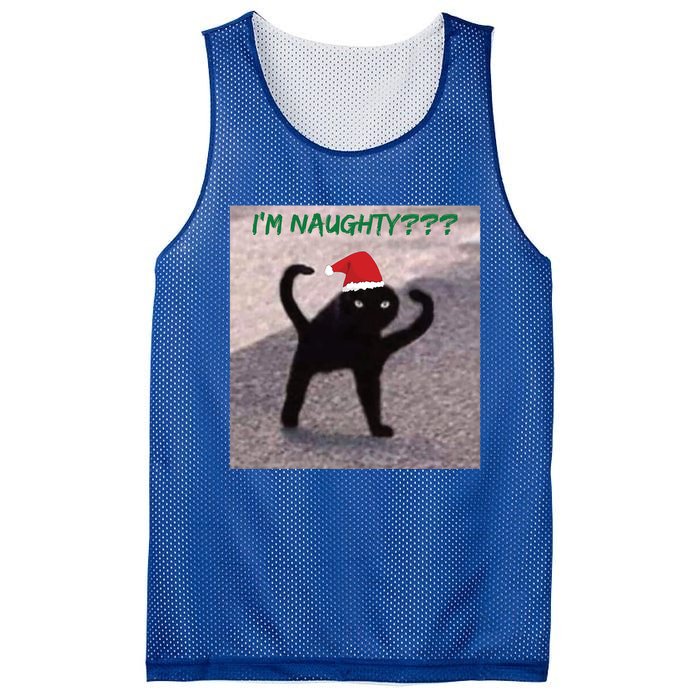 Cursed Cat Angry Meme Im Naughty? Christmas Gift Mesh Reversible Basketball Jersey Tank