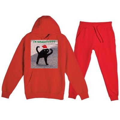 Cursed Cat Angry Meme Im Naughty? Christmas Gift Premium Hooded Sweatsuit Set