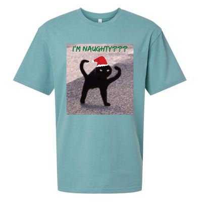 Cursed Cat Angry Meme Im Naughty? Christmas Gift Sueded Cloud Jersey T-Shirt