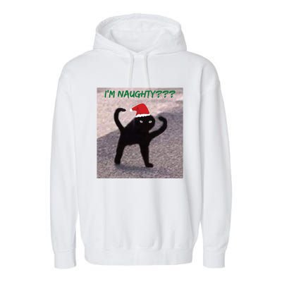 Cursed Cat Angry Meme Im Naughty? Christmas Gift Garment-Dyed Fleece Hoodie