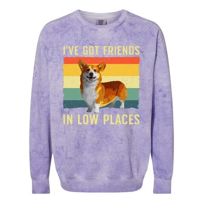 Cute Corgi Art Pet Dog Cardigan Corgi Colorblast Crewneck Sweatshirt