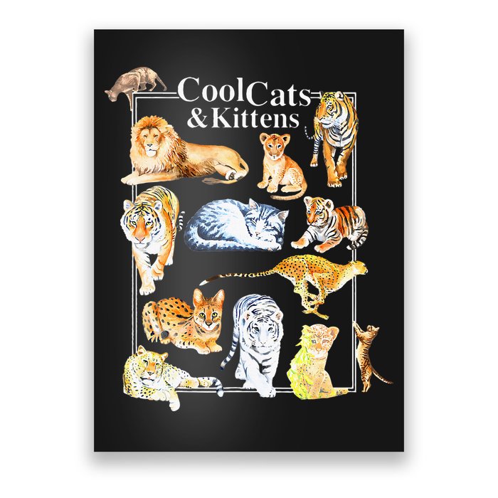 Cool Cats And Kittens Tiger Lion Leopard Felines Poster