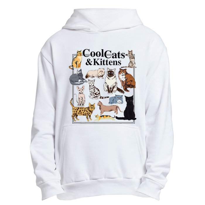 Cools Cat And Kitten Cat Types Funny Urban Pullover Hoodie