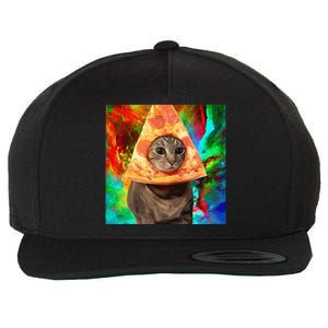 Colorful Cute Artsy Cat Kitten Pizza Funny Wool Snapback Cap