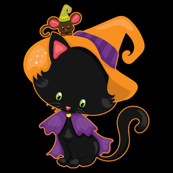 Cute Cat And Mouse Halloween Witch Flatbill Hat